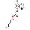 Cloquintocet Mexyl